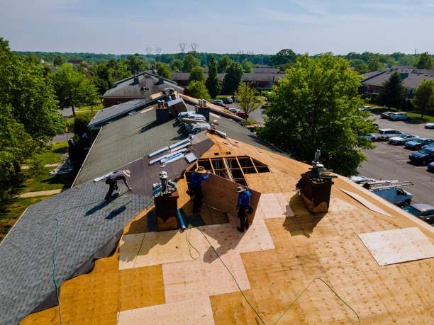 Best Residential Roof Replacement  in Rushford, MN